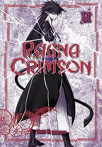 Manga cover featuring a black-haired character behind a shattered glass effect.