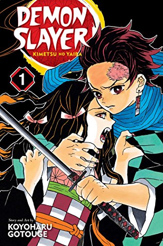 Manga cover featuring two young people with swords, dramatic expressions.