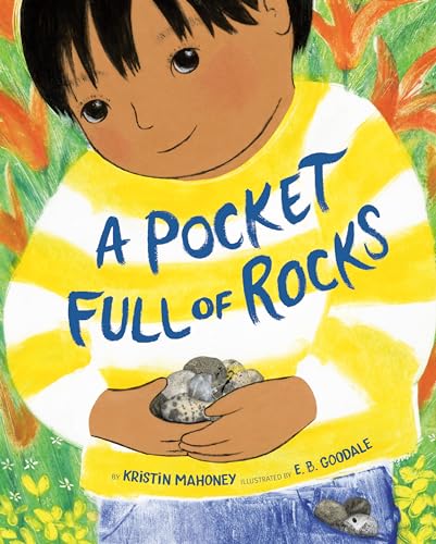 Book cover: child holding rocks, titled “A Pocket Full of Rocks.”