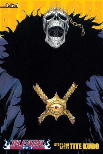 Bleach manga volume 15 cover: a skull-like figure with golden emblems.