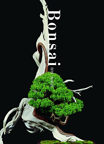 Book cover featuring a bonsai tree with textured, winding branches.