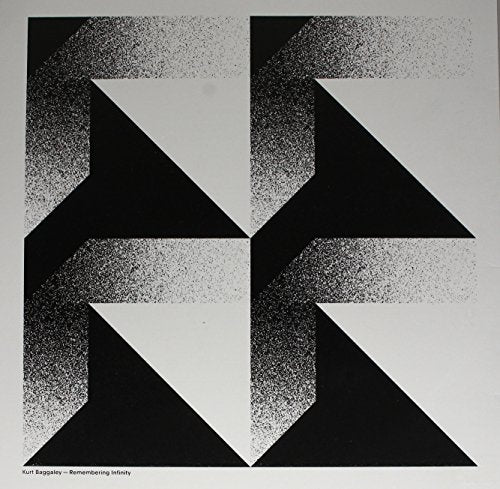 Black and white abstract geometric pattern with stippled gradients on a square vinyl cover.