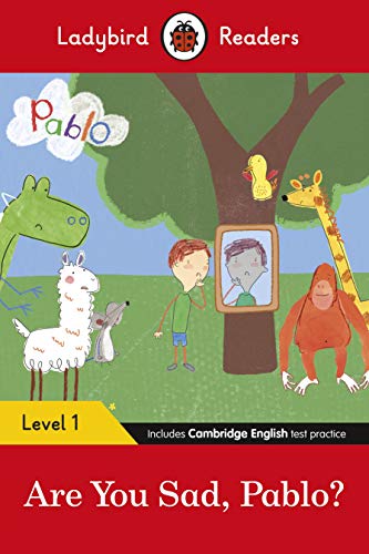 Book cover featuring Pablo and animal friends standing near a tree with a mirror.