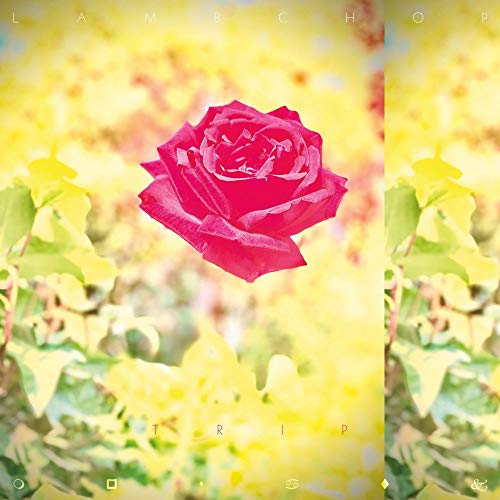 Album cover for Lambchop’s “Trip” featuring a bright red rose on yellow.