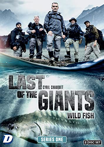 Five men standing in water with a large fish visible beneath the surface.