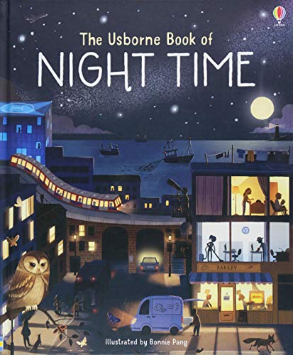 Book cover illustration of a city at night with an owl, train, and buildings.
