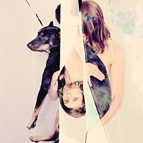 A collage-style image shows a person holding a black dog with a split effect.