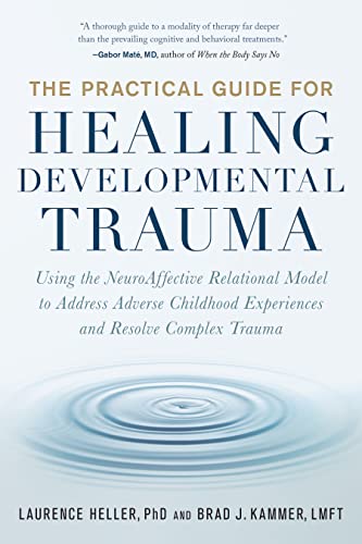 Book cover for The Practical Guide for Healing Developmental Trauma with water ripple graphic.
