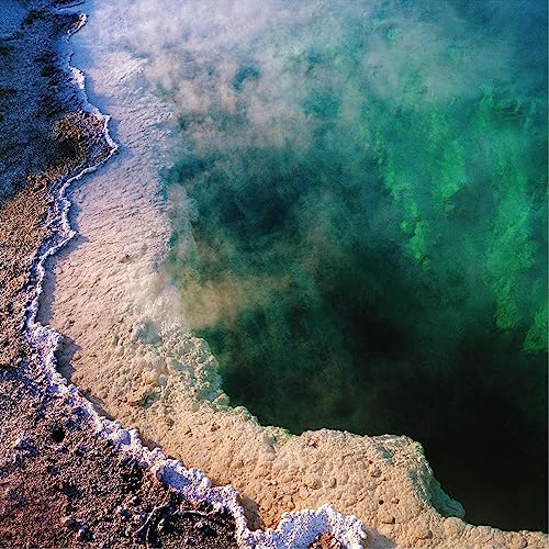Aerial view of textured shoreline with green and brown water.