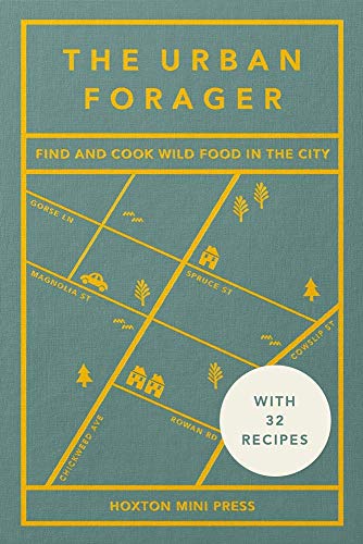 Book cover with a yellow street map design on a teal background.