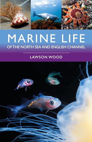 Book cover featuring diverse North Sea and English Channel marine animals.