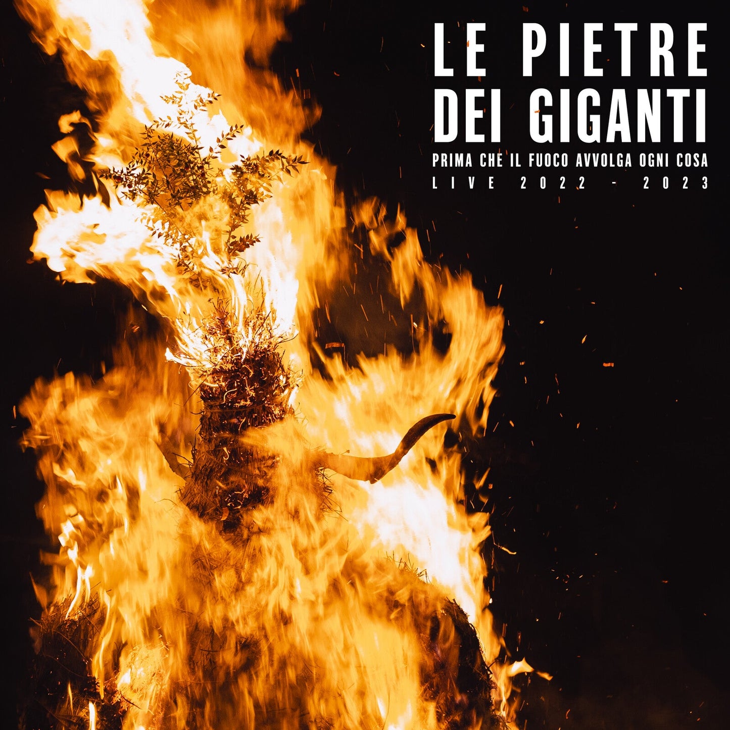 Vinyl album cover with a fiery image of a burning tree and horns.