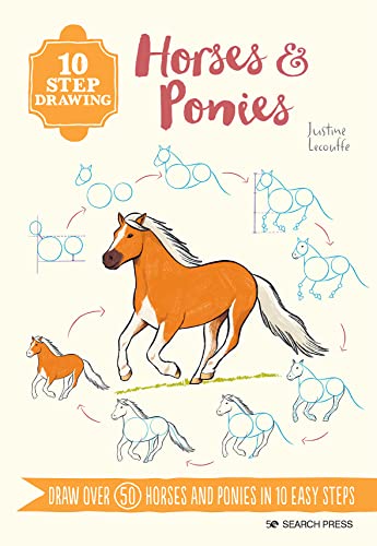 Book cover illustrating a horse and drawing steps for horses and ponies.