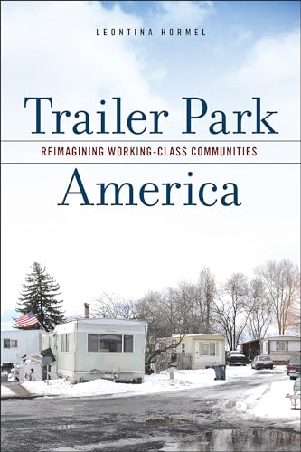 Book cover depicting a snowy trailer park with American flag.
