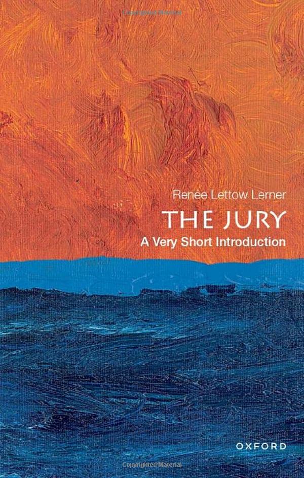Book cover with orange and blue abstract brushstrokes, titled The Jury by Renée Lettow Lerner.