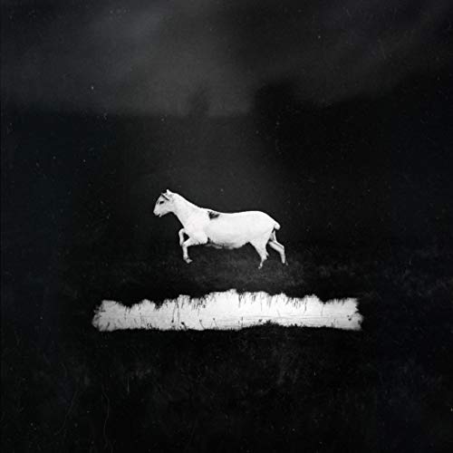 Black and white album cover featuring a leaping white horse.