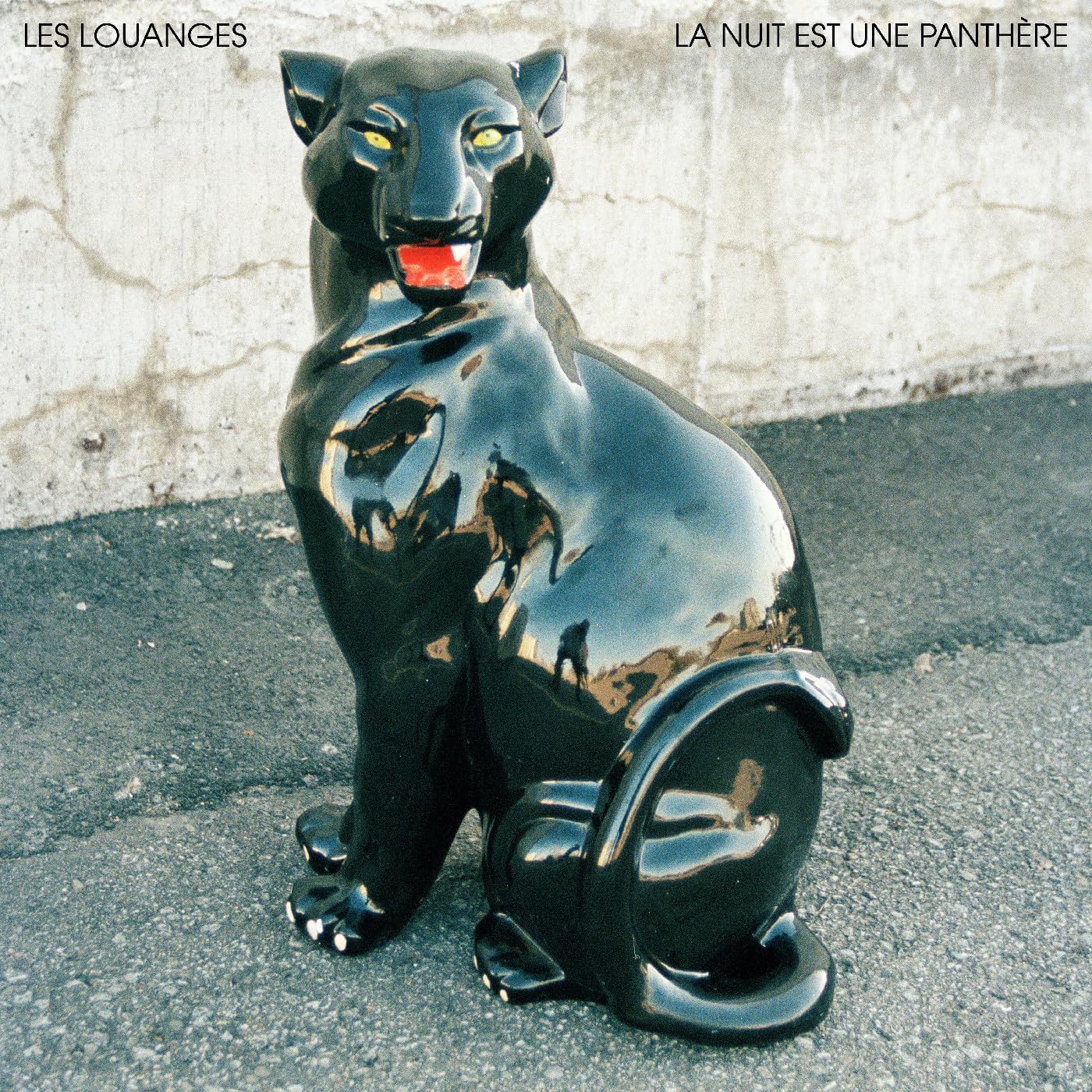 Vinyl record of Les Louanges' album "La Nuit Est Une Panthere," black cover.