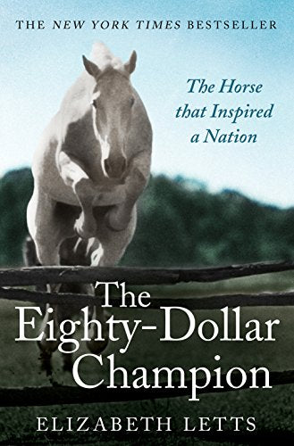 Book cover featuring a white horse jumping a wooden fence.