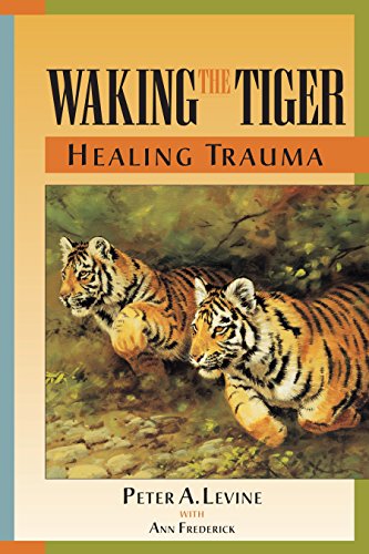 Book cover for Waking the Tiger featuring an illustration of two tiger cubs.