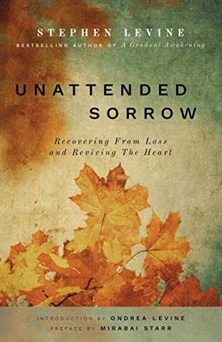 Book cover: "Unattended Sorrow" with autumnal leaves and faded background.