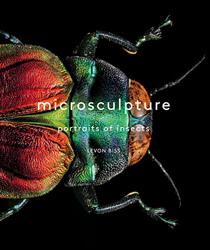 Close-up of a colorful beetle on a black background, book cover.