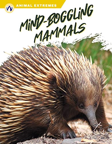 Book cover featuring a close-up of a spiny echidna foraging.