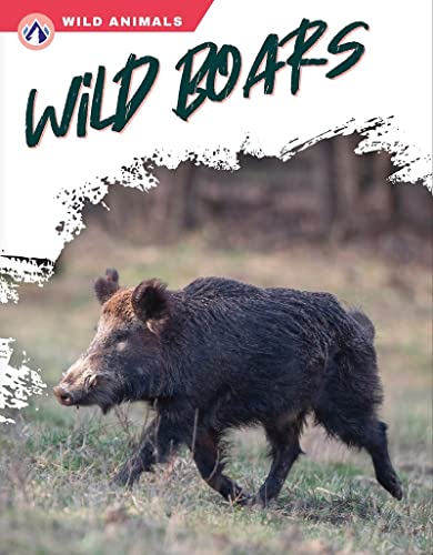 Book cover featuring a wild boar walking in a grassy field.