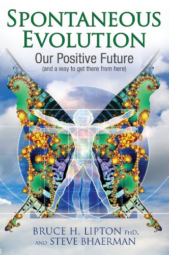 Book cover featuring a Vitruvian Man silhouette with fractal butterfly wings against a sky.