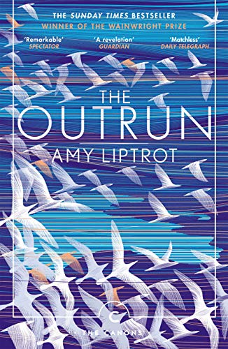 Book cover for The Outrun by Amy Liptrot featuring many white birds against blue.