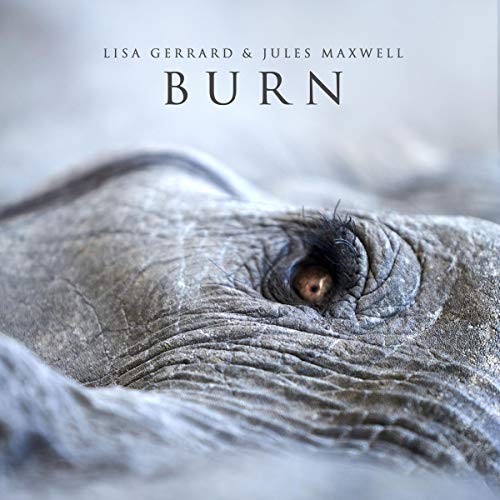 Album cover for "Burn" by Lisa Gerrard & Jules Maxwell, featuring elephant skin.