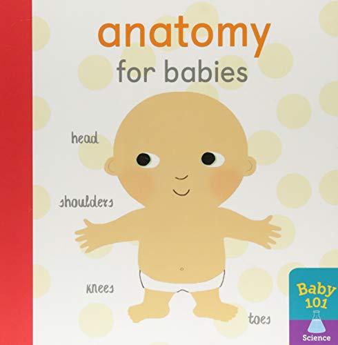 Book cover with illustrated baby and labeled body parts: head, shoulders, knees, toes.