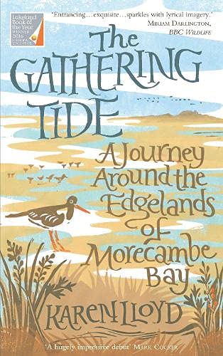 Book cover with illustrated shorebirds, grasses, and a tidal landscape.