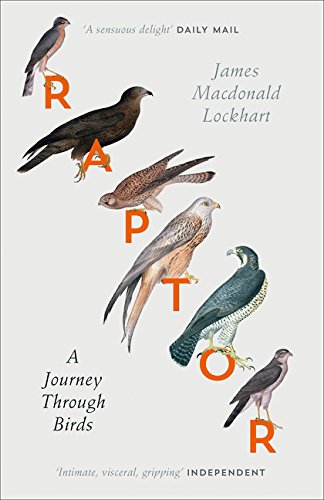 Book cover featuring illustrations of various raptors and large text spelling "RAPTOR".