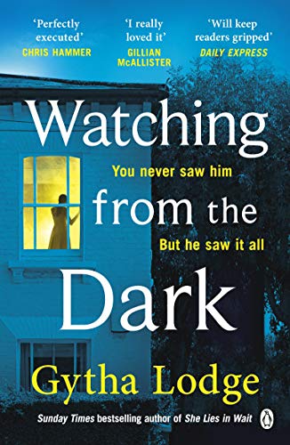 Book cover: dark house, lit window, silhouette of a person inside.