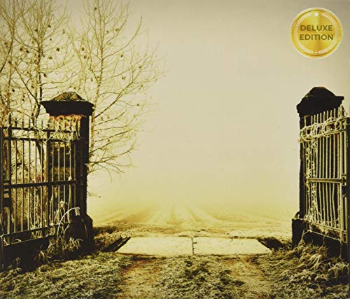 Ornate gates open onto a misty path under a bare tree.