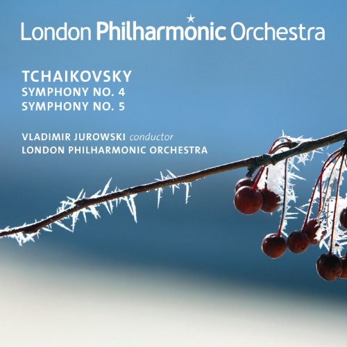 CD cover for Tchaikovsky symphonies with a wintry branch image.