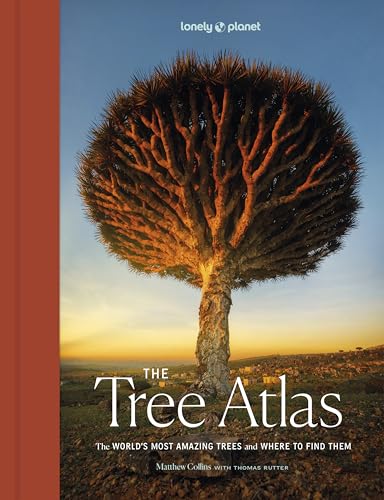 Book cover featuring a large, unusual tree against a sunset sky.