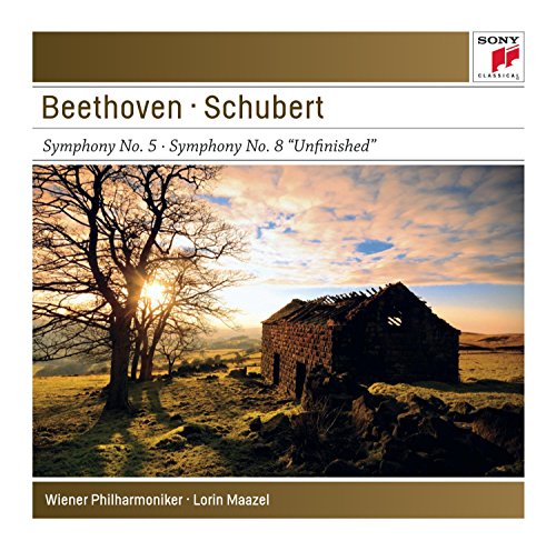 CD cover: Ruined stone building and bare tree at sunset.