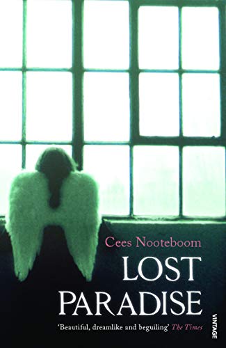 Book cover: figure with white wings seen from behind, facing a window.
