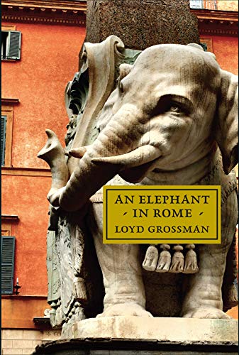 Stone elephant sculpture with book cover superimposed in foreground.