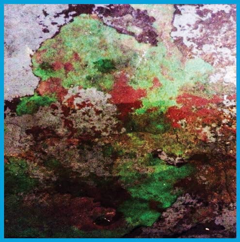 Abstract textured vinyl record cover with green, red, and brown tones.