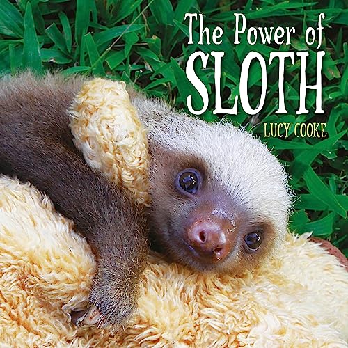 Book cover featuring a baby sloth clinging to a branch.