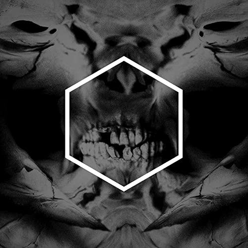 A black and white image of a skull within a white hexagon outline.