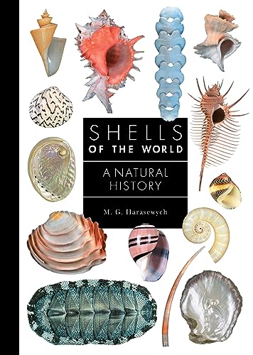Book cover displaying colorful illustrations of various seashells.