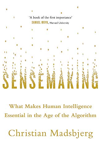 Book cover with title "Sensemaking" and binary code design.