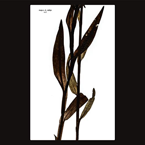 CD cover for Maja Sk Ratkje’s “Sult” featuring dried plant stalks.