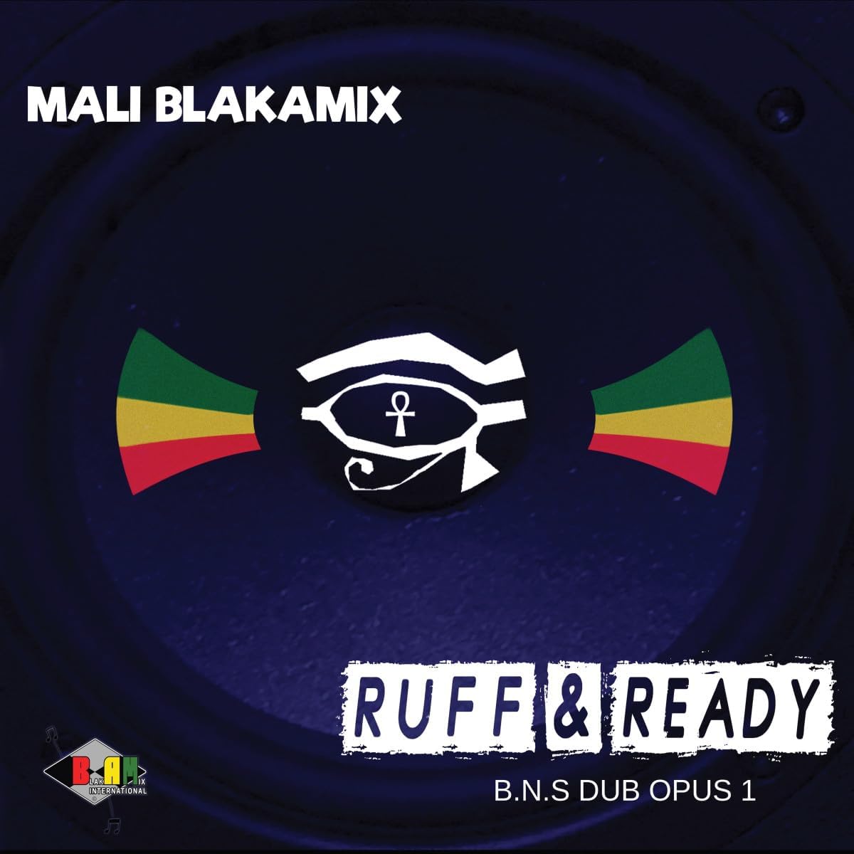 Vinyl record cover with an eye symbol and Rastafarian colors.