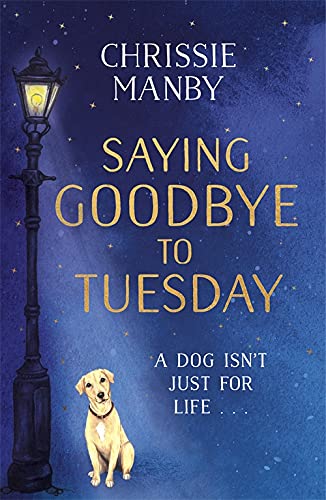 Book cover: dark blue background, dog sitting by a lamppost.