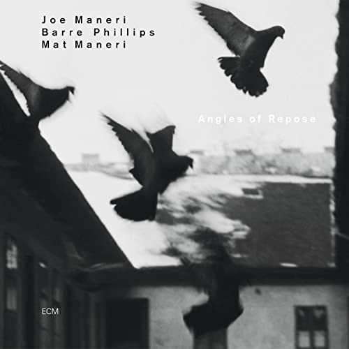 Black and white CD cover featuring blurred images of flying pigeons.