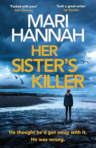 Book cover showing a person standing on a rocky beach under a stormy sky.